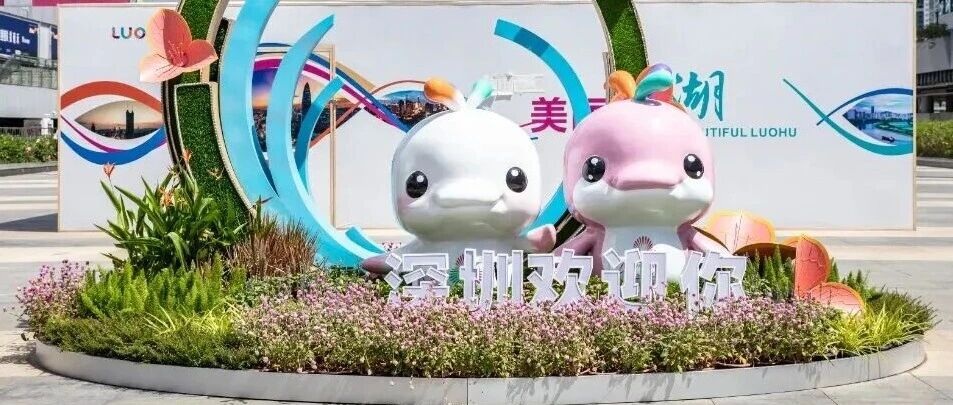 是“大灣雞”魔法，還是“數(shù)字及廣告標識”行業(yè)新秘籍？